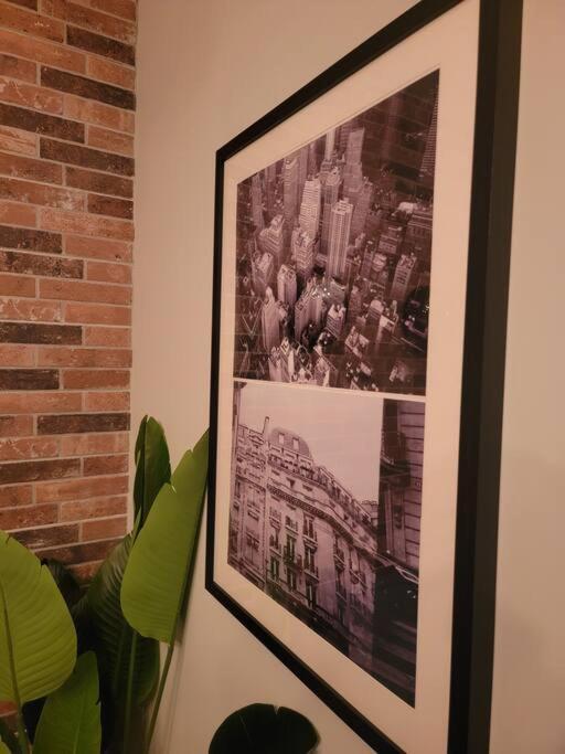 Cosmopolitan Apt 1407, 5 Star Facilities, 15M Sjo Airport, Parking, Pool, Gym San José Exteriör bild