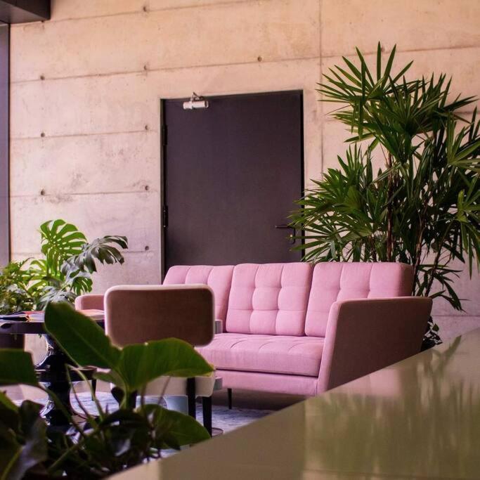 Cosmopolitan Apt 1407, 5 Star Facilities, 15M Sjo Airport, Parking, Pool, Gym San José Exteriör bild
